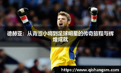 德赫亚：从青涩小将到足球明星的传奇旅程与辉煌成就
